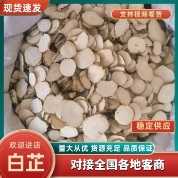 白芷,提香去腥,厨房餐厅必备香料,质量严格把控