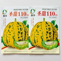 圣甜110甜瓜种子抗裂高糖甘甜耐低温口感甜脆清香