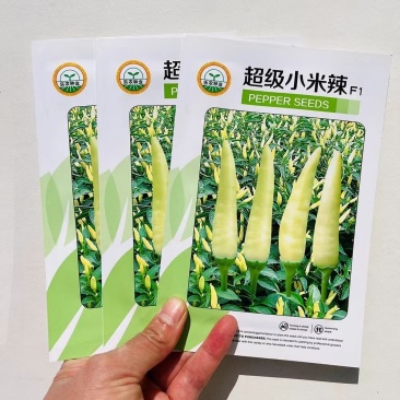 超级小米辣种子小米椒种子单生白色朝天椒香辣味浓