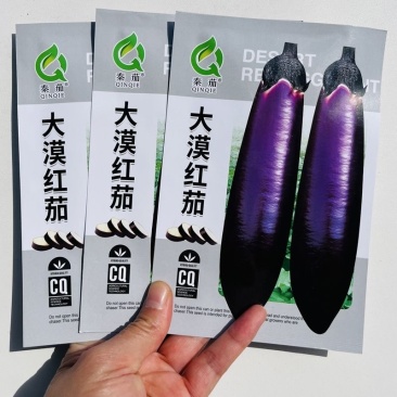 大漠红茄子种子粗细均匀茄条紫红口感棉软