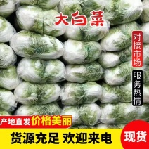 河南焦作大白菜，秦白二号，新乡小包，大量上市，产地直供。