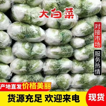 河南焦作大白菜，秦白二号，新乡小包，大量上市，产地直供。