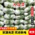 河南焦作大白菜，秦白二号，新乡小包，大量上市，产地直供。