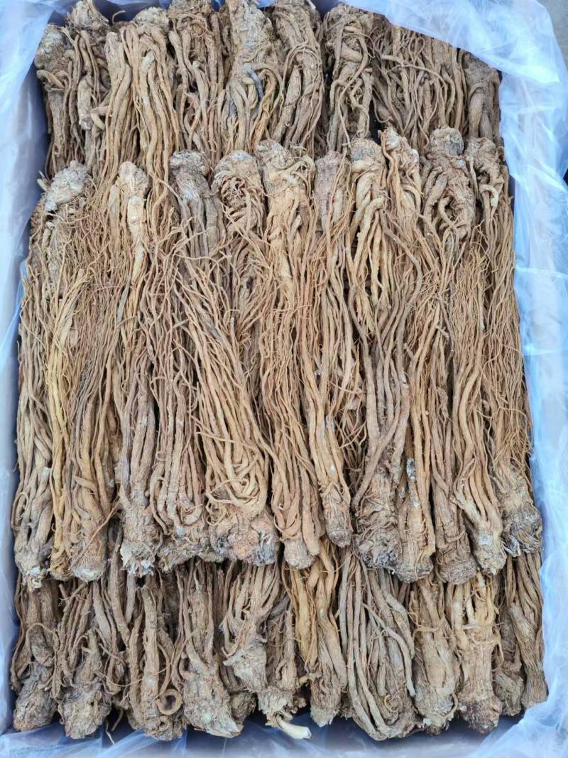 甘肃中药材当归成品产地直发质量保证可视频看货