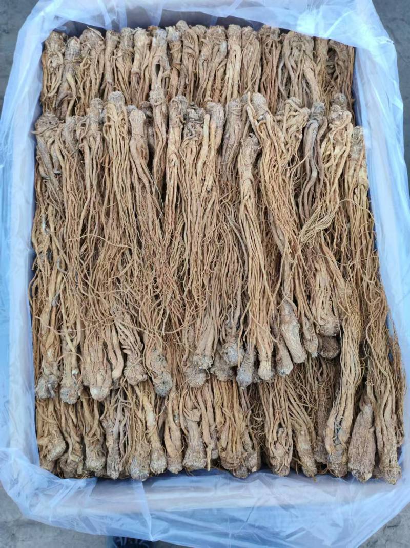 甘肃中药材当归成品产地直发质量保证可视频看货