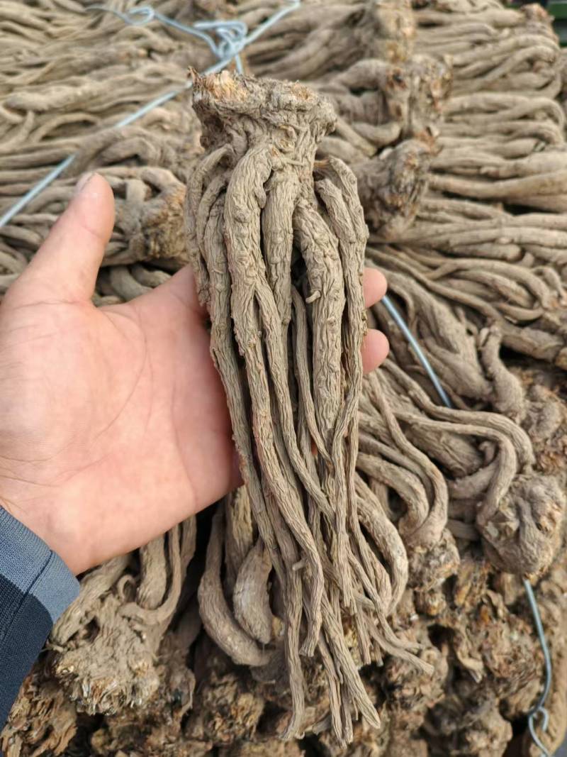 甘肃中药材当归成品产地直发质量保证可视频看货