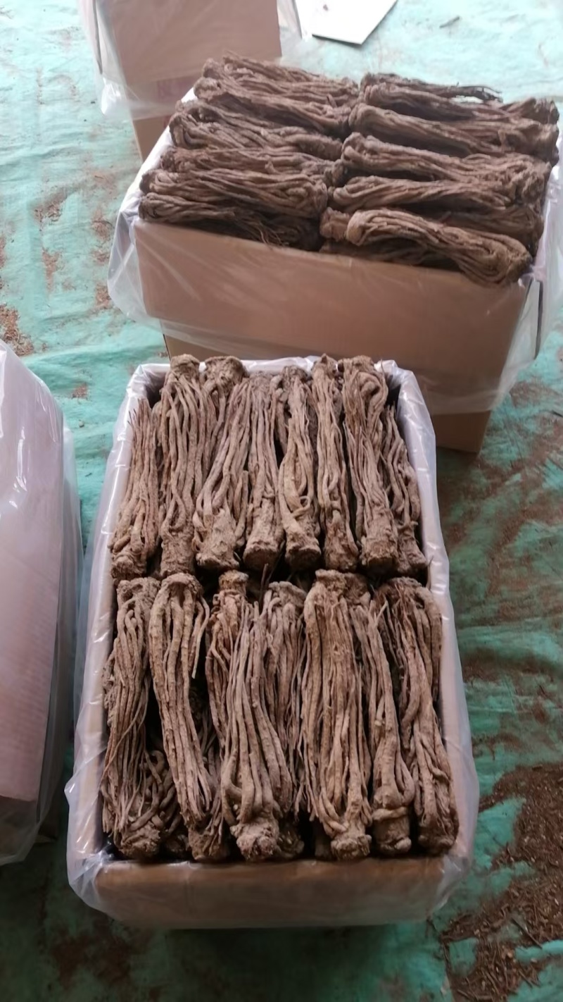 甘肃中药材当归成品产地直发质量保证可视频看货