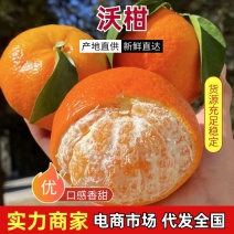 广西沃柑产地一手货源规格齐全，现摘现发可视频看货代发全国