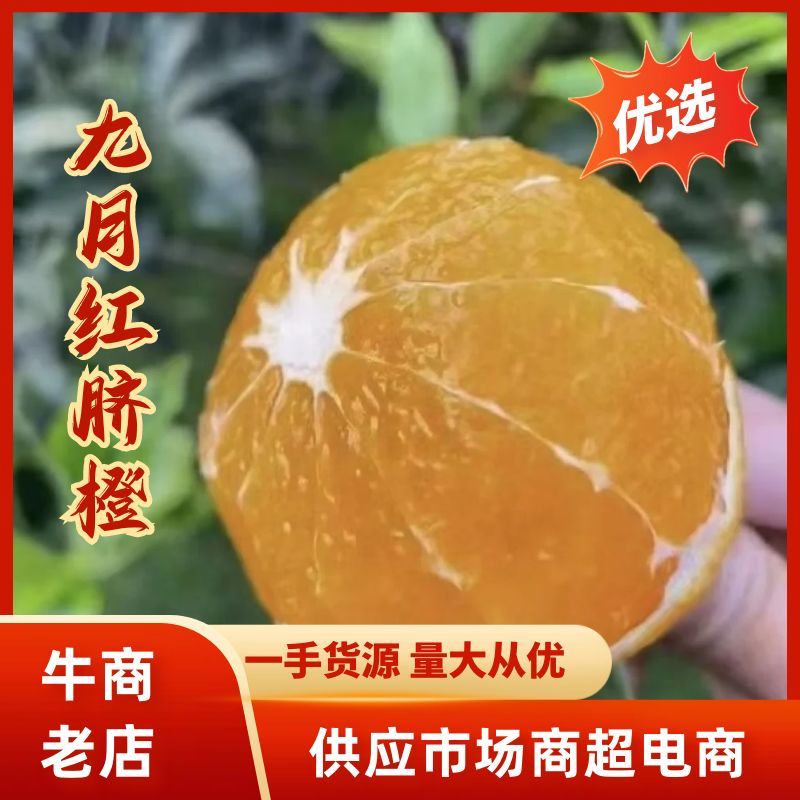 【实力】九月红脐橙湖北产区直发对接全国电商商超