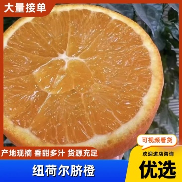 【实力】脐橙纽荷尔脐橙产区直发保质保量供货发货全国