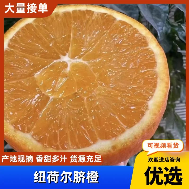 【实力】脐橙纽荷尔脐橙产区直发保质保量供货发货全国