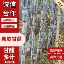 广东韶关翁源产地直发甘甜多汁大量有货欢迎联系我