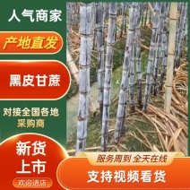 【广东翁源甘蔗】价格便宜清甜基地直供对接电商市场