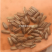 葵花瓜子云南玉溪全国发货欢迎联系可视频看货