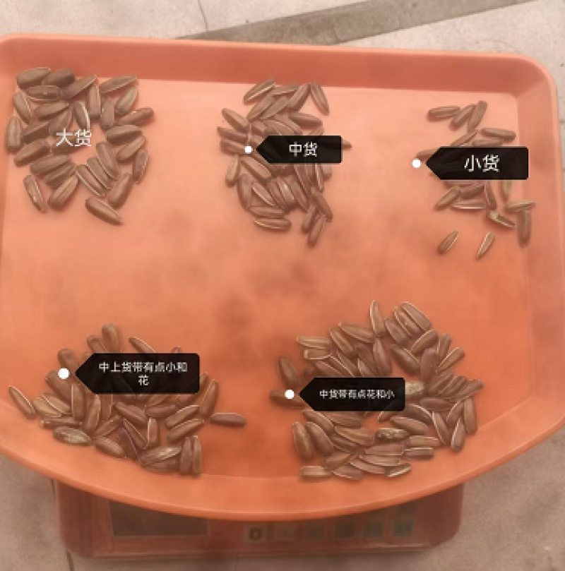 葵花瓜子云南玉溪全国发货欢迎联系可视频看货