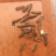 葵花瓜子云南玉溪全国发货欢迎联系可视频看货