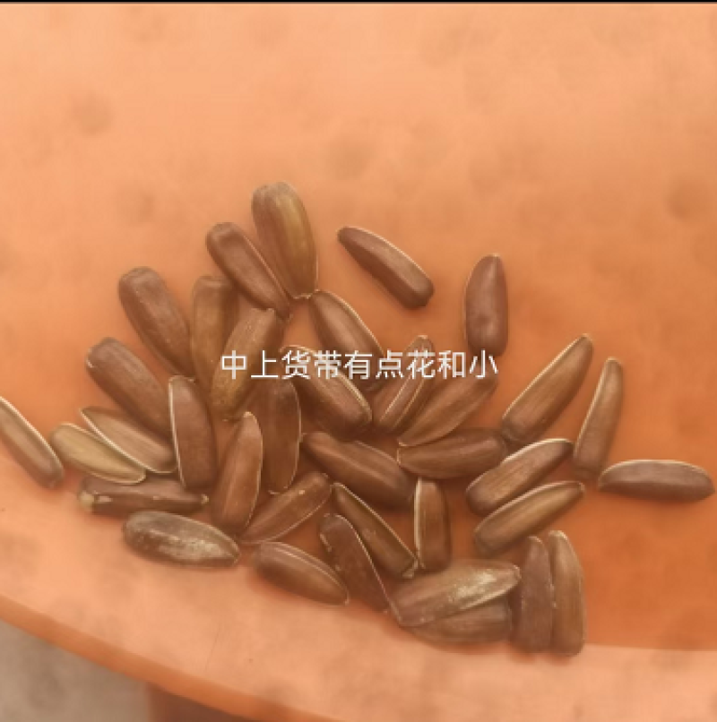 葵花瓜子云南玉溪全国发货欢迎联系可视频看货