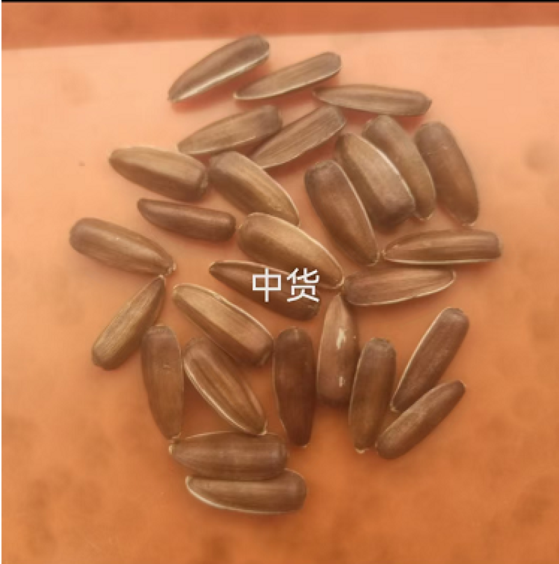 葵花瓜子云南玉溪全国发货欢迎联系可视频看货