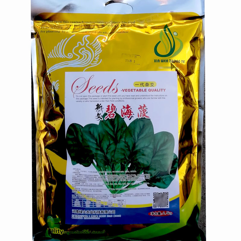圆叶黑菠菜种子碧海菠大田高产用厚叶菠菜种子