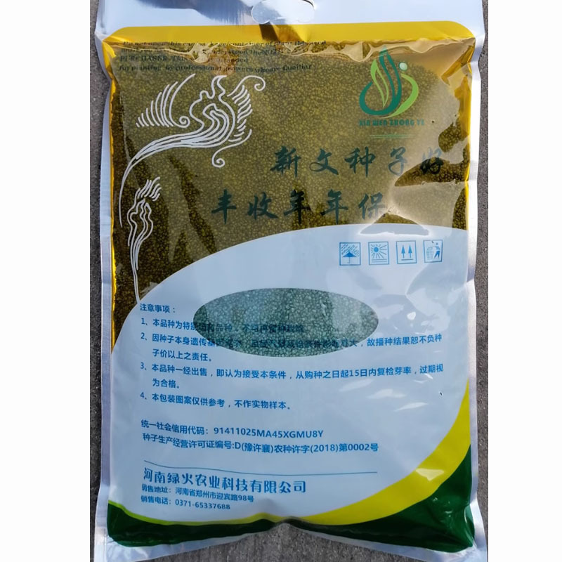 圆叶黑菠菜种子碧海菠大田高产用厚叶菠菜种子