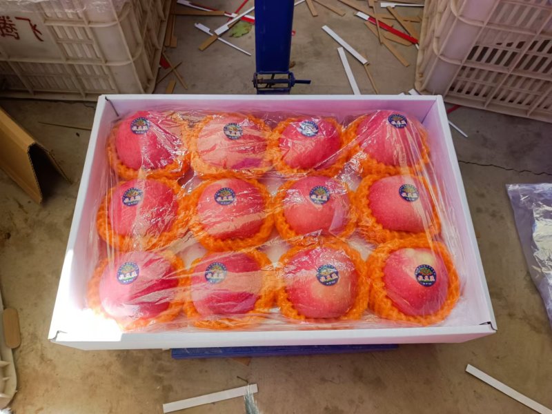 红富士苹果精品品相好口感佳甜度高一件代发带箱十斤装包邮