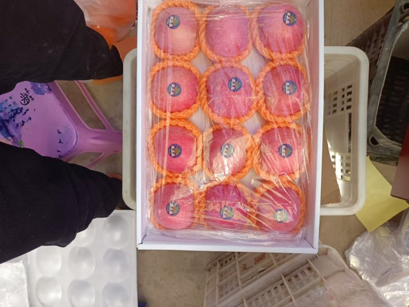 红富士苹果精品品相好口感佳甜度高一件代发带箱十斤装包邮