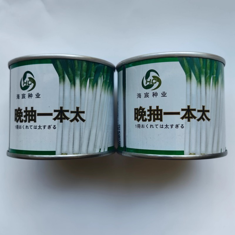 晚抽一本太大葱种子晚抽苔耐热耐寒刚葱钢葱高产章丘大葱种子