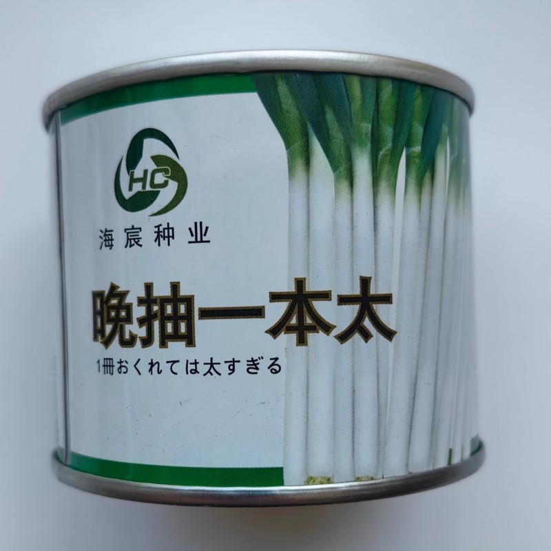 晚抽一本太大葱种子晚抽苔耐热耐寒刚葱钢葱高产章丘大葱种子