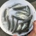 精品加州鲈鱼苗，水质监控，优化投喂，可技术指导