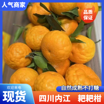 四川内江耙耙柑新鲜上市，自然成熟不打糖，视频看货