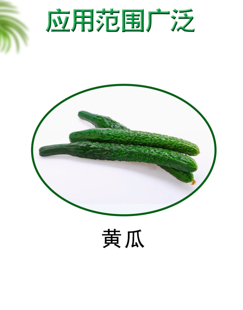 陶氏益农水溶肥正品多肽果立膨含氨基酸膨果靓果增加光合作