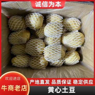 【优选】内蒙古精品黄心土豆货源充足量大从优欢迎选购