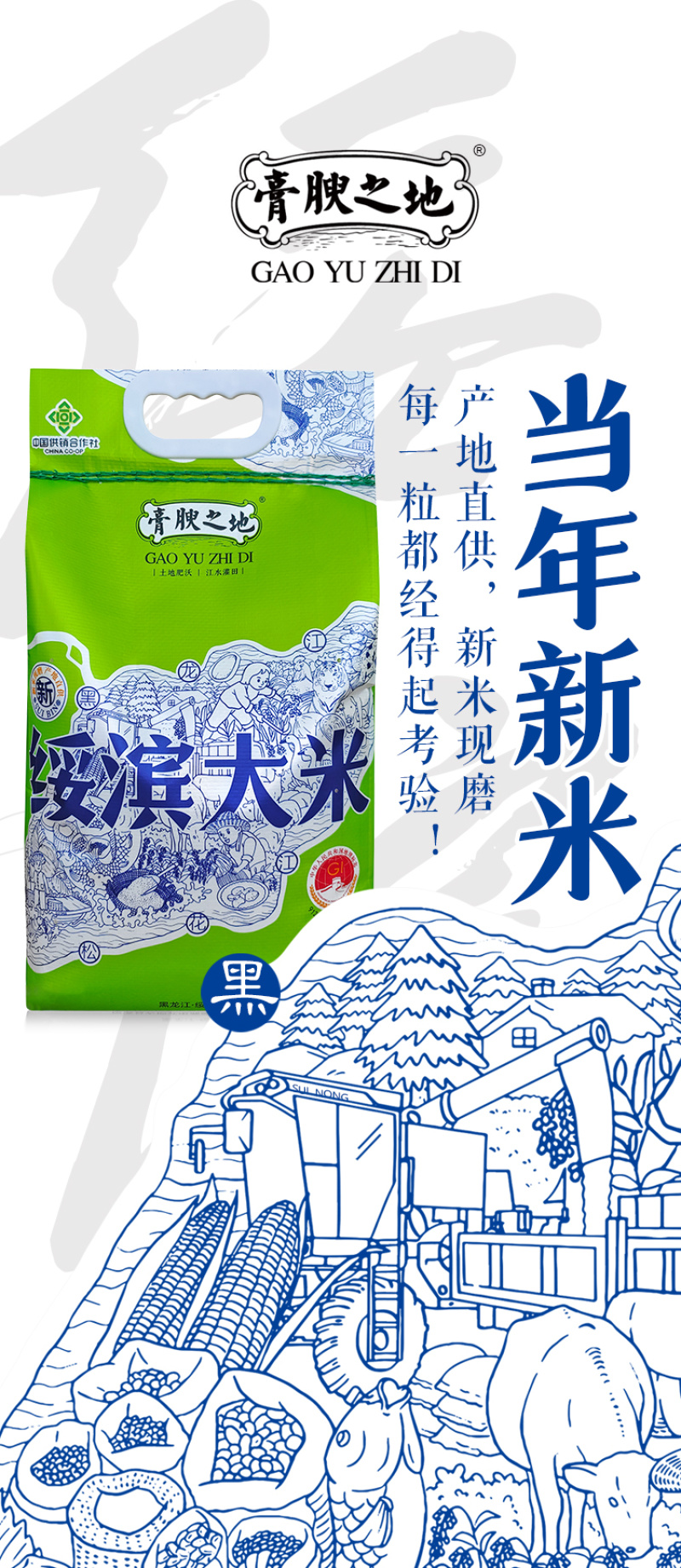 【新米上市】东北黑龙江圆粒大米5kg一件代发包邮