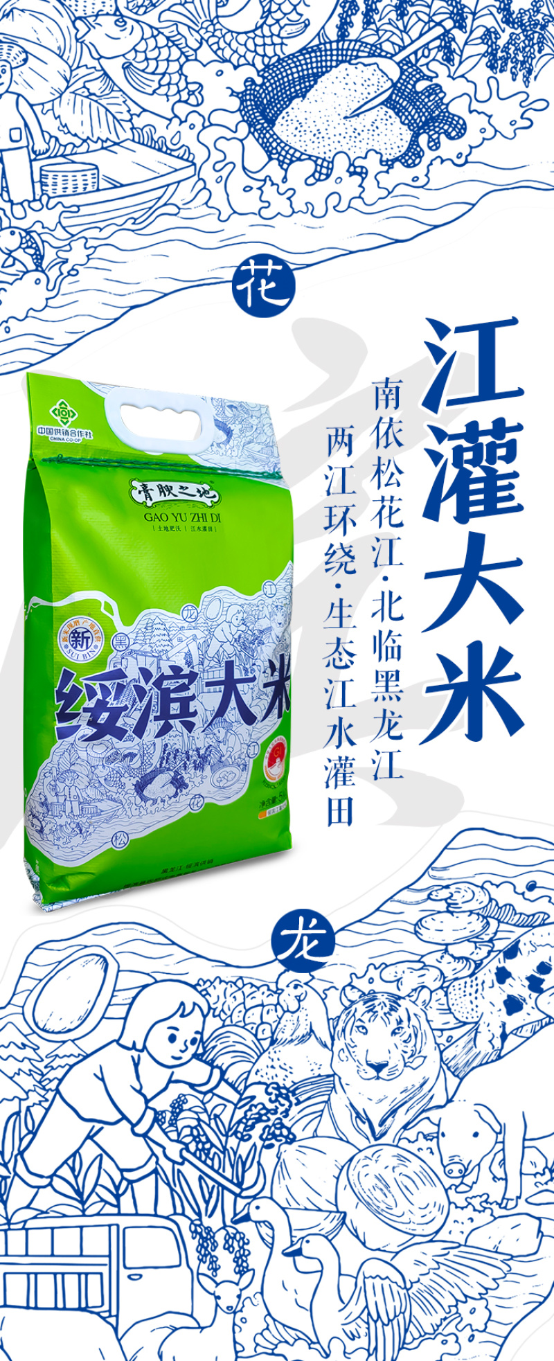 【新米上市】东北黑龙江圆粒大米5kg一件代发包邮