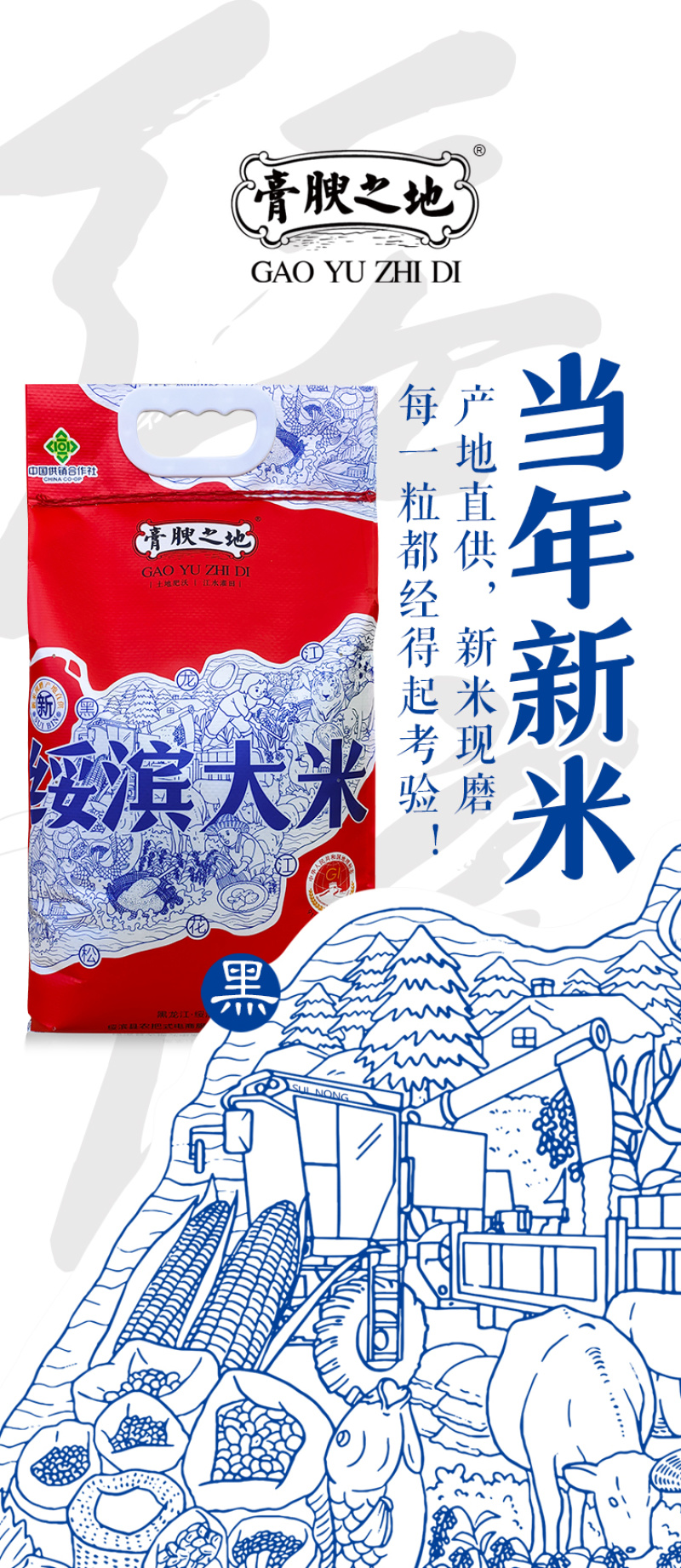 【新米上市】东北黑龙江长粒香大米5kg包邮一件代发