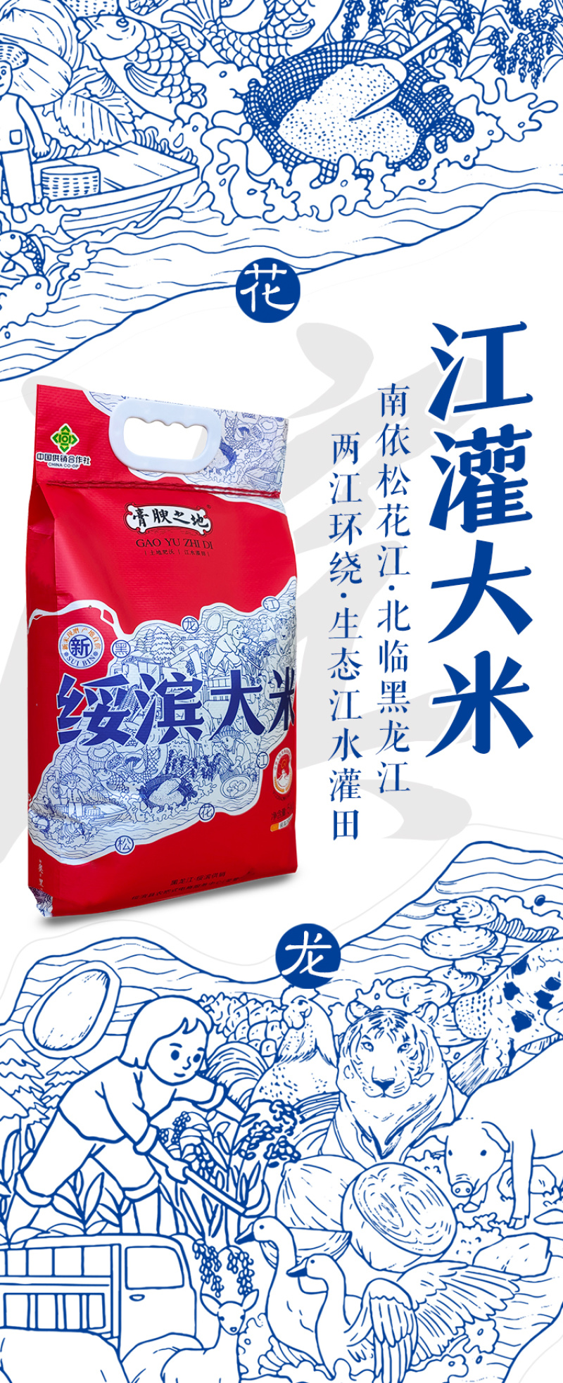【新米上市】东北黑龙江长粒香大米5kg包邮一件代发