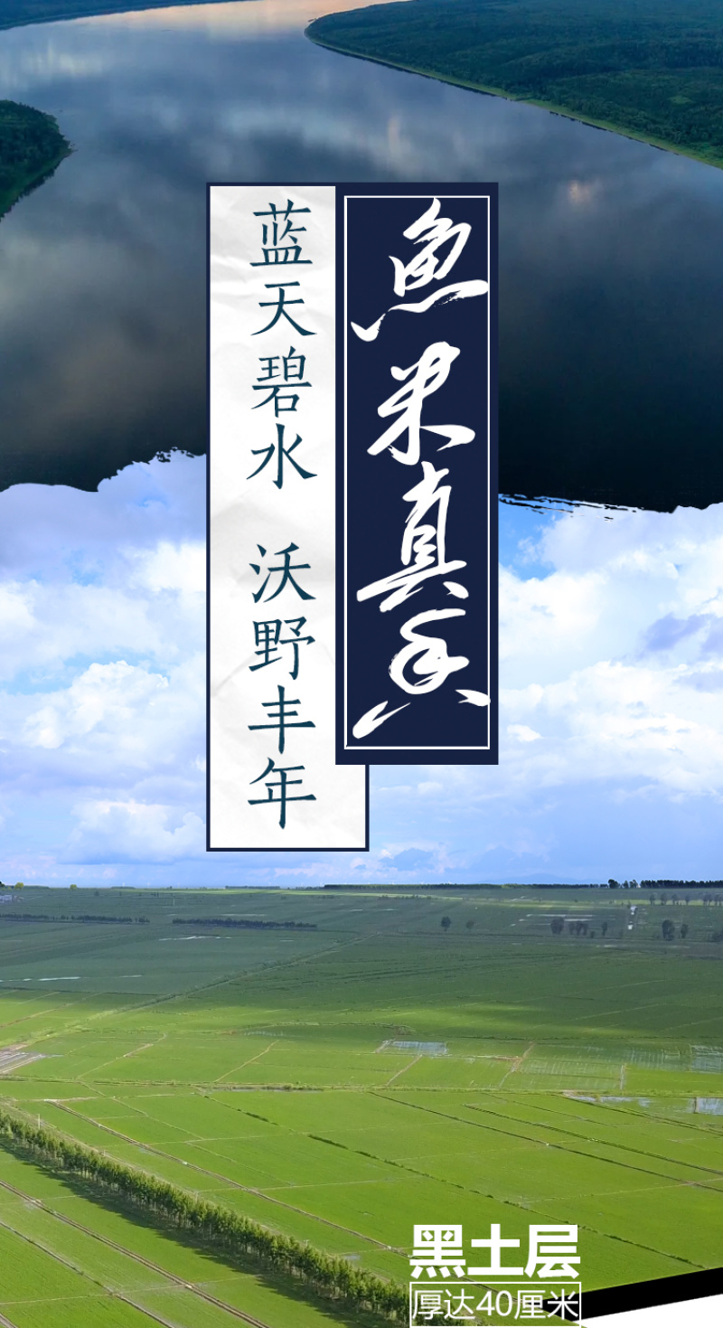 【新米上市】东北黑龙江稻花香大米5kg包邮一件代发