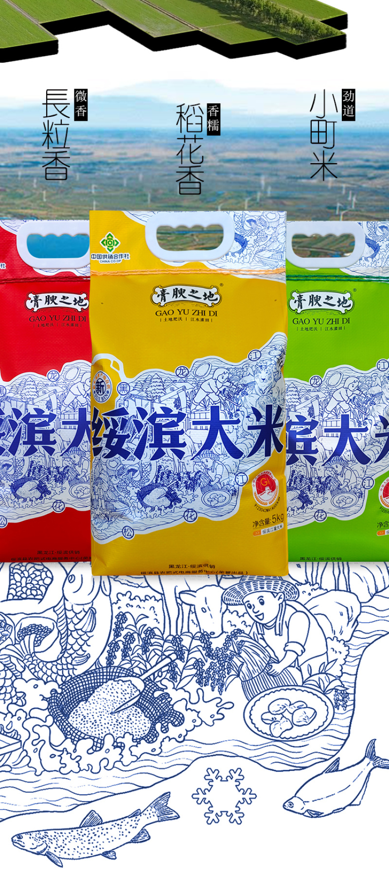 【新米上市】东北黑龙江稻花香大米5kg包邮一件代发
