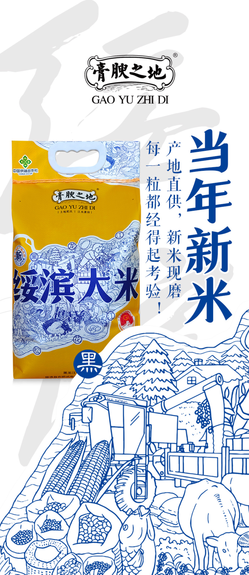 【新米上市】东北黑龙江稻花香大米5kg包邮一件代发