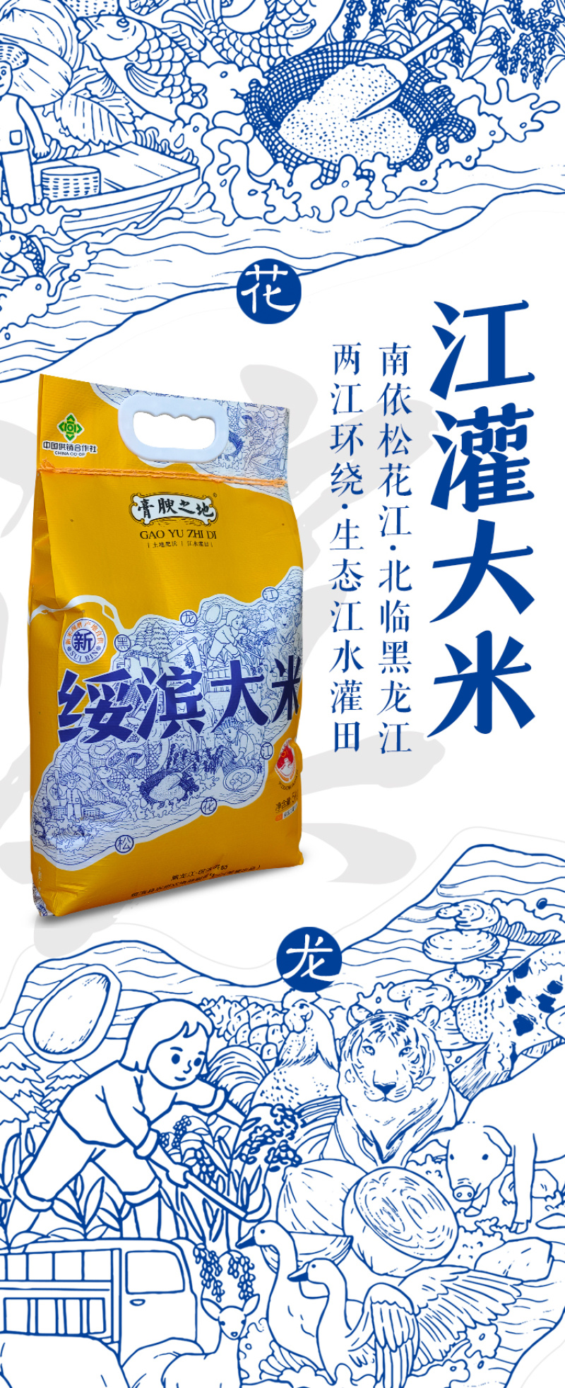 【新米上市】东北黑龙江稻花香大米5kg包邮一件代发
