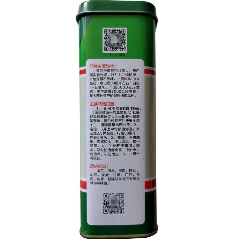 青葱状元大葱种子高实杆章丘大葱种子高巨白叶深绿