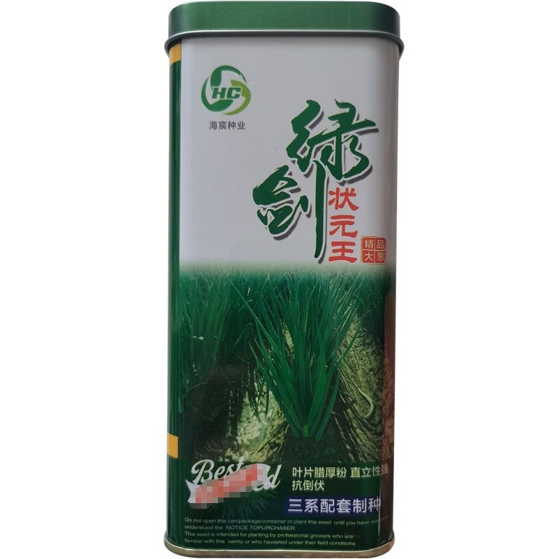 绿剑状元王章丘大葱种子三第配套制种直立抗倒伏