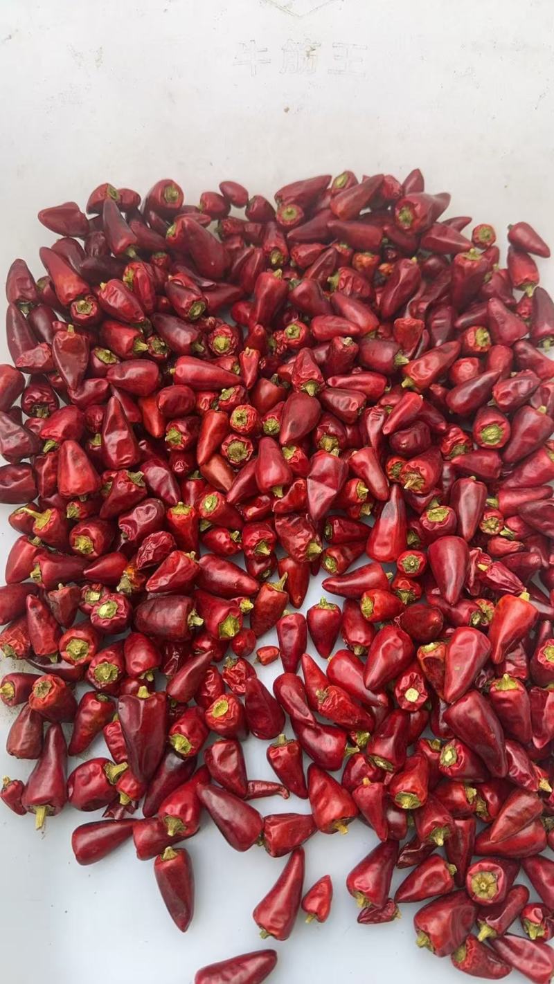 精品子弹头干辣椒，品质保证，价格优惠，实力优选