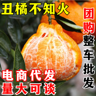 四川不知火丑橘一件代发丑柑丑八怪橘子电商供应