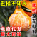 四川不知火丑橘一件代发丑柑丑八怪橘子电商供应