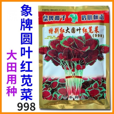 大圆叶红苋菜种子大红汉菜种子耐抽苔耐热