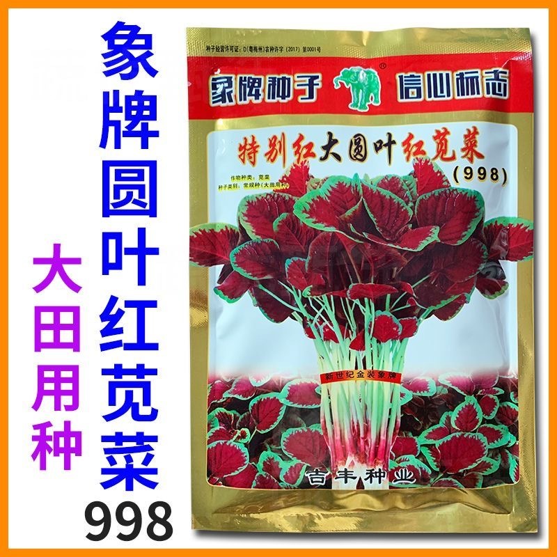 大圆叶红苋菜种子大红汉菜种子耐抽苔耐热