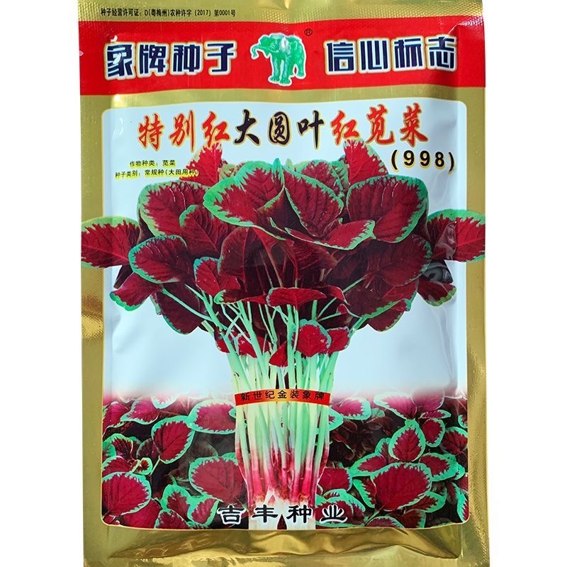 大圆叶红苋菜种子大红汉菜种子耐抽苔耐热