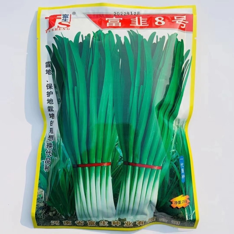 富韭8号韭菜种子抗寒耐热抗重茬叶片肥厚冬季不休眠