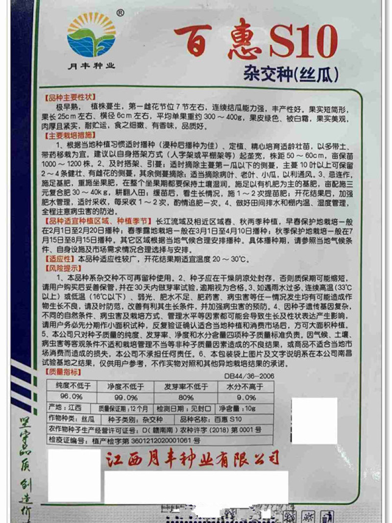 百惠S10杂交丝瓜种子早熟短筒形肉厚紧实耐贮运